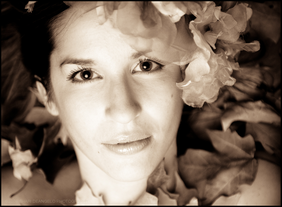 _sdp0632-edit-edit