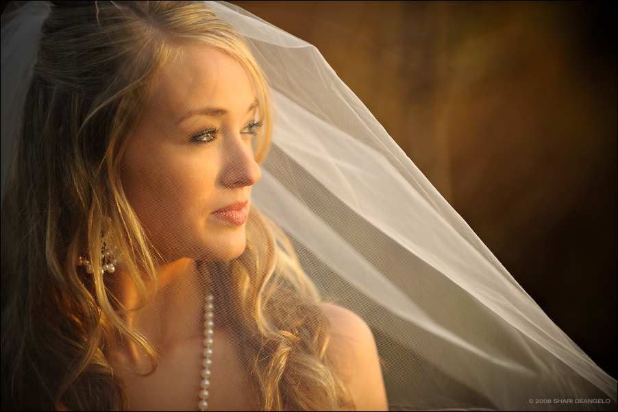 _sdp4659-edit-edit